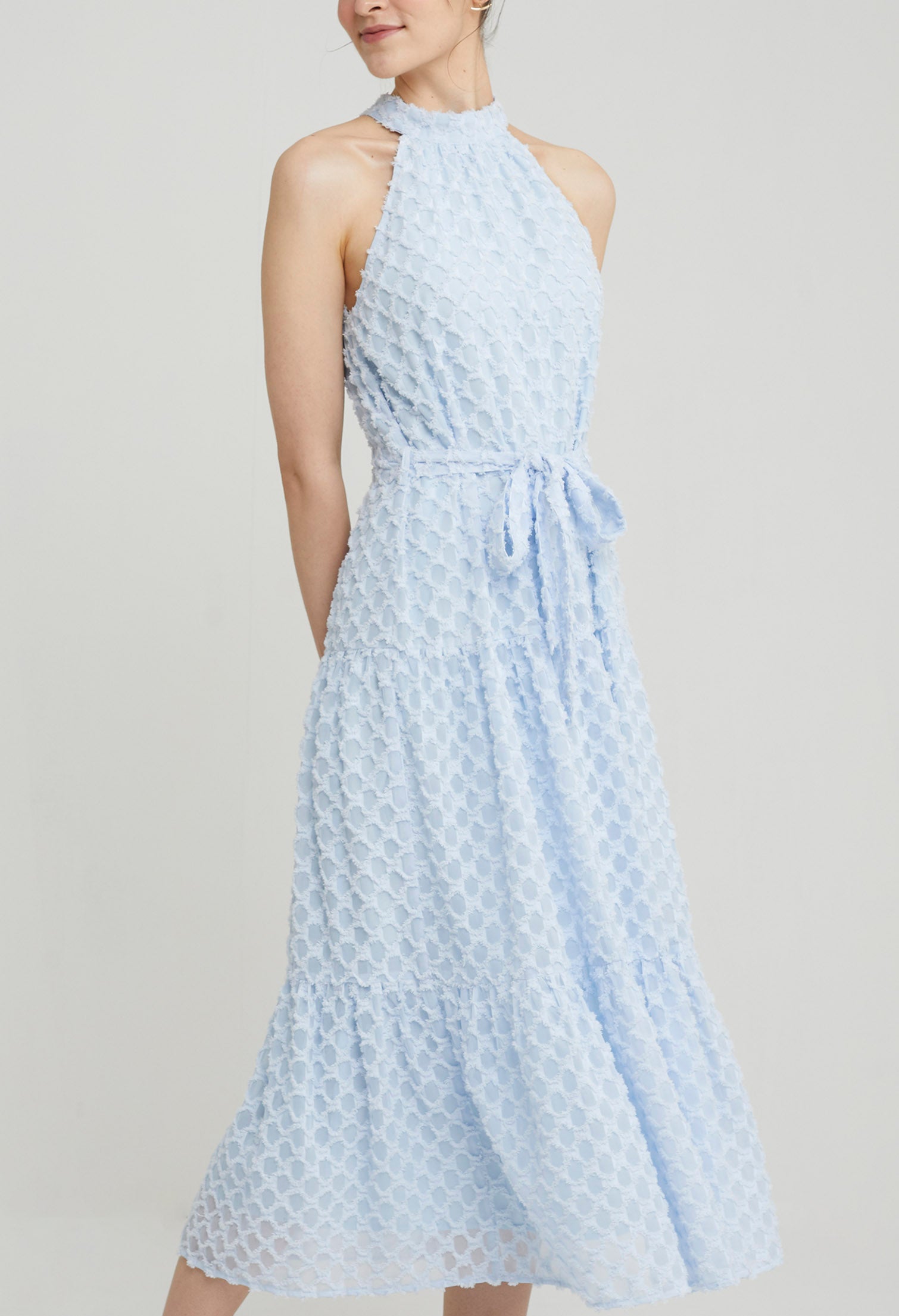 Quinn Organza Midi Dress