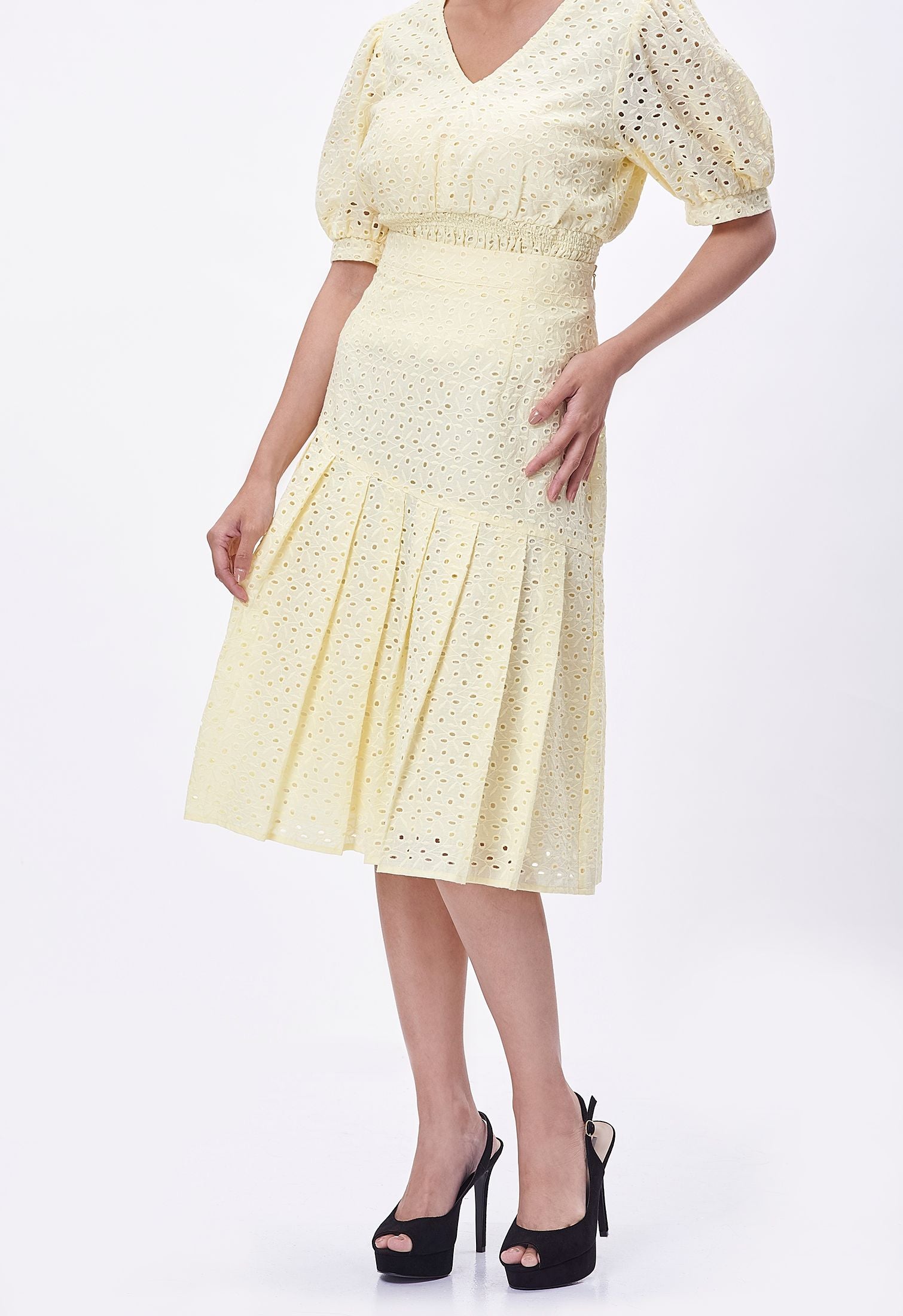 Embroidery Eyelet Panel Skirt